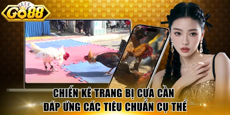 Chiến kê trang bị cựa cần đáp ứng các tiêu chuẩn cụ thể