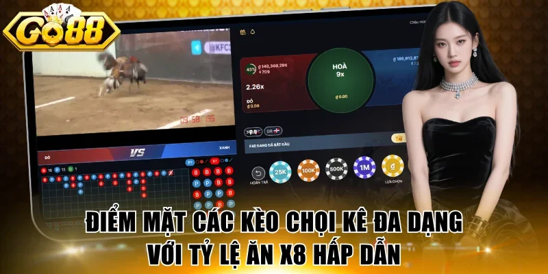 Điểm mặt các kèo chọi kê đa dạng với tỷ lệ ăn x8 hấp dẫn