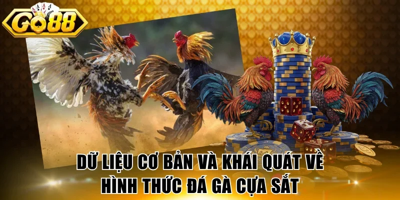 Dữ liệu cơ bản và khái quát về hình thức đá gà cựa sắt