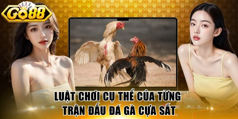 Luật chơi cụ thể của từng trận đấu đá gà cựa sắt