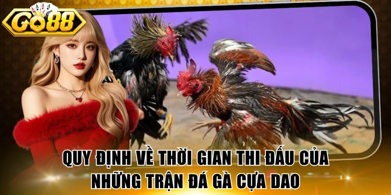 Quy định về thời gian thi đấu của những trận đá gà cựa dao
